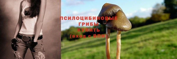 гидра Беломорск