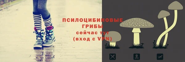 гидра Беломорск